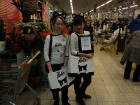 ��������� - ������